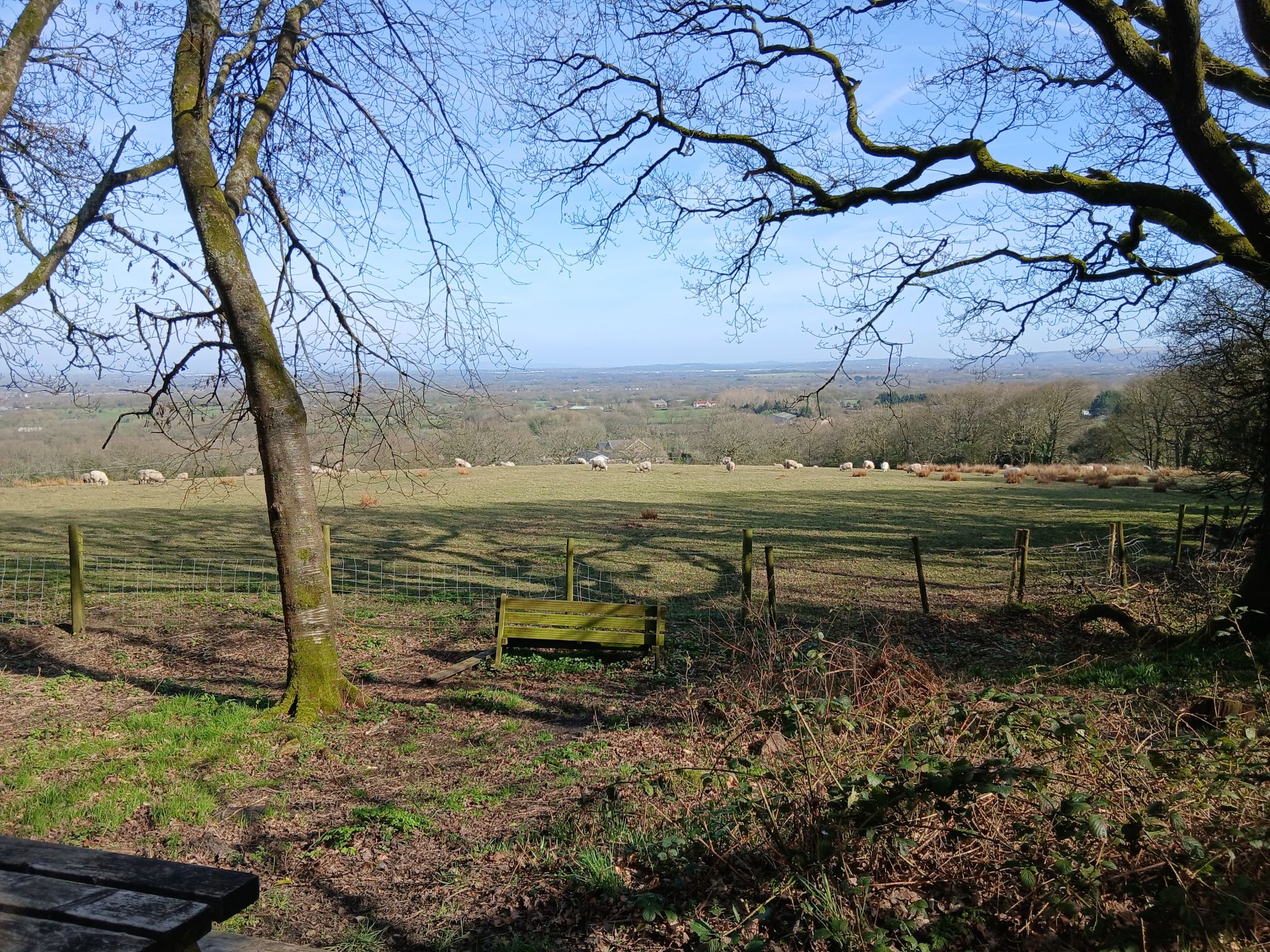 View to hills in distance